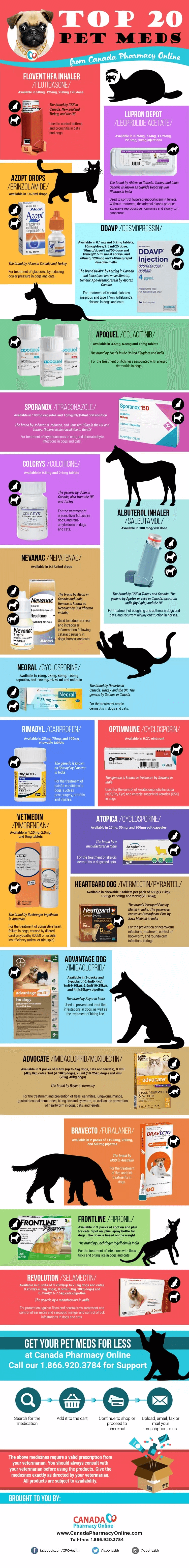 top-20-pet-meds-from-canada-pharmacy-online-infographic-infographic